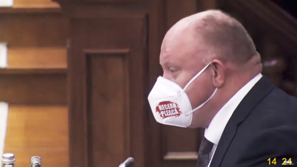 vasile bolea renastere parlament deputat dorin regean guvern igor