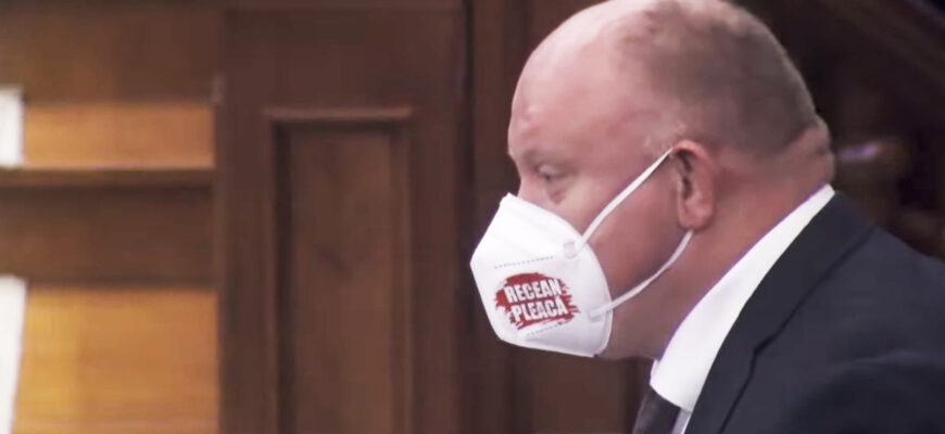 vasile bolea renastere parlament deputat dorin regean guvern igor