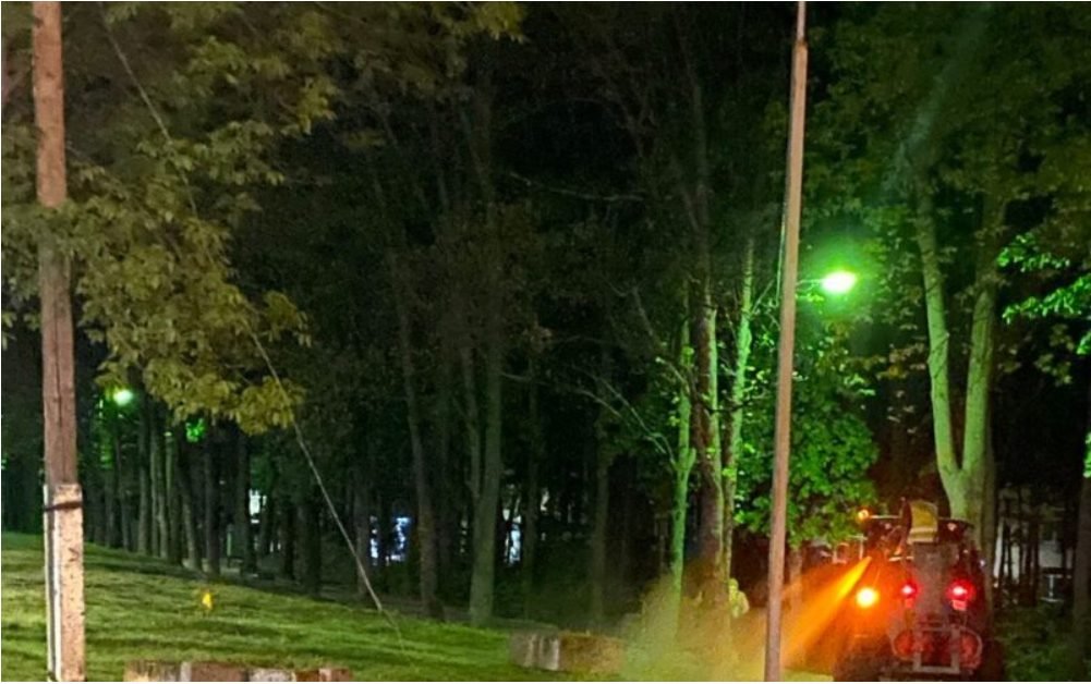 „Asociația de Gospodărire a Spațiilor Verzi” desfășoară activități de combatere a dăunătorilor în spațiile verzi din oraș