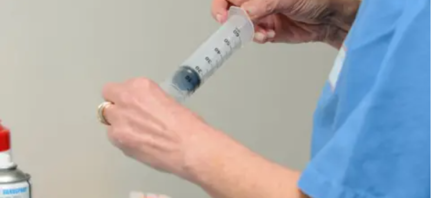 a ales sa fie eutanasiata