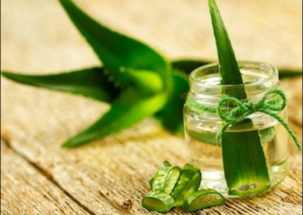 Aloe vera - moduri de întrebuințare pentru sănătate, uz intern și uz extern