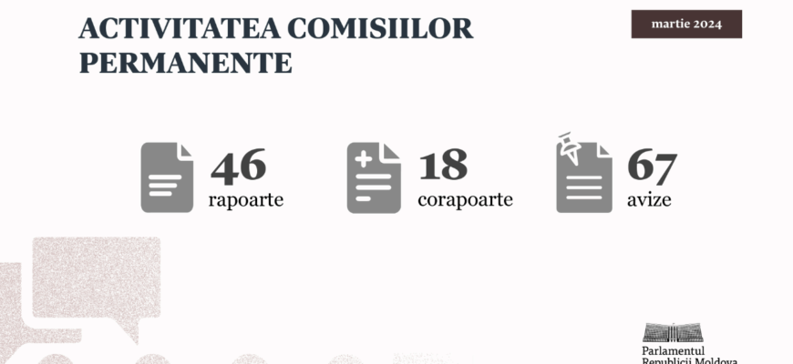 bilantul activitatii