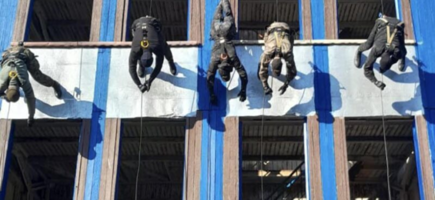 brigada de politie fulger