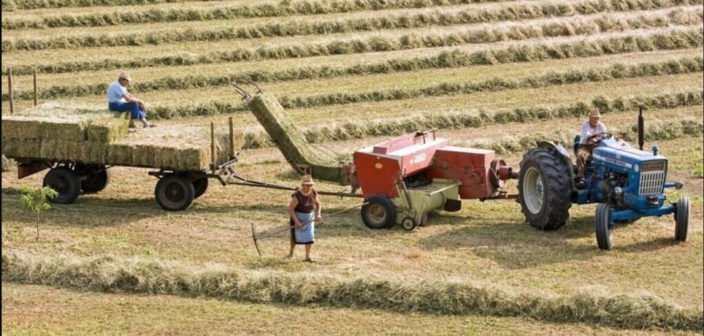 Republica Moldova vrea să intensifice cooperarea cu Ungaria în domeniul agriculturii