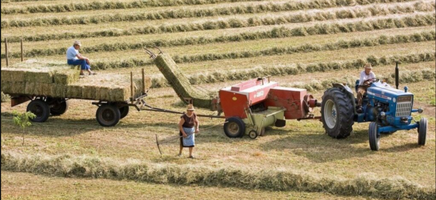 cooperarea cu ungaria