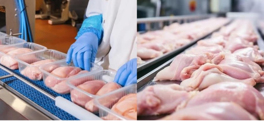 exporta carnea de pasare