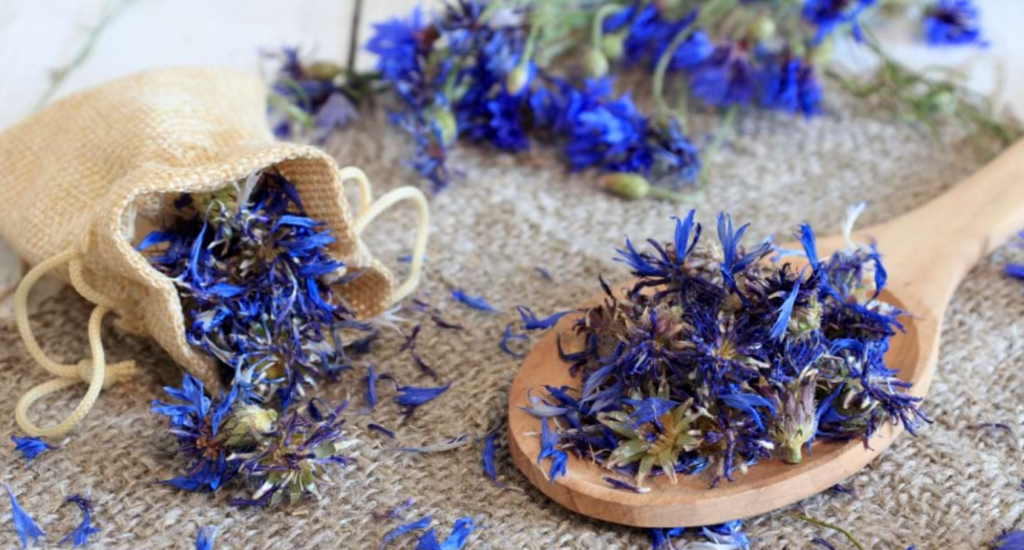 florile de albastrele