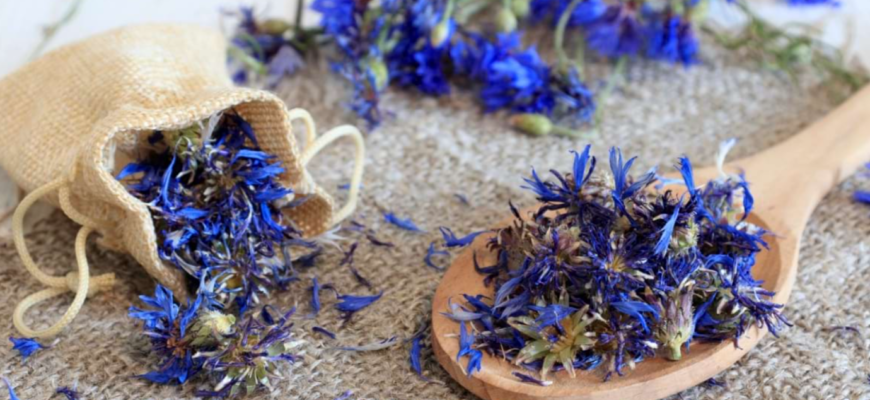 florile de albastrele