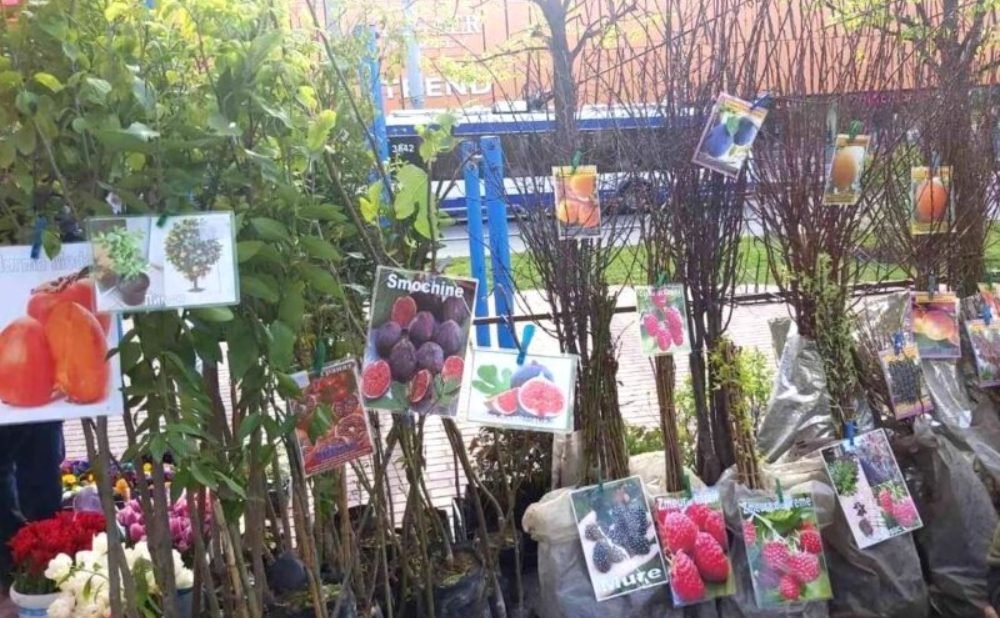 Iarmaroace agricole, organizate de către „Piața Centrală”, pentru susținerea producătorilor autohtoni
