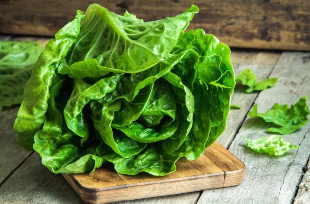 Lăptuca - legumă verde, plină de calități și beneficii pentru sănătate. Rețete delicioase cu lăptuci