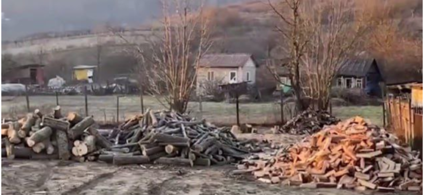 lemne vandute ilegal