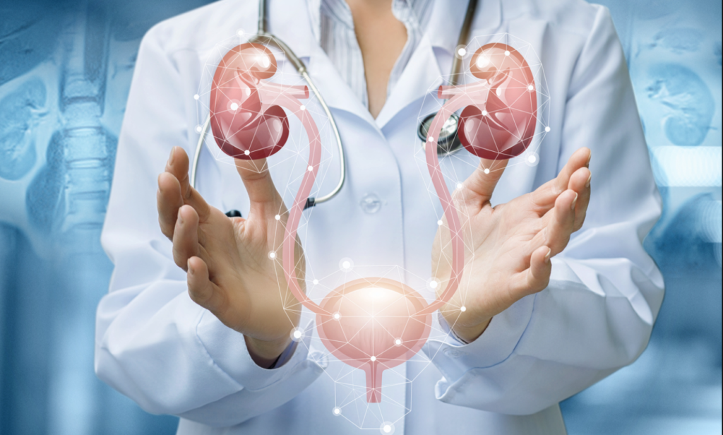sanatatea rinichilor