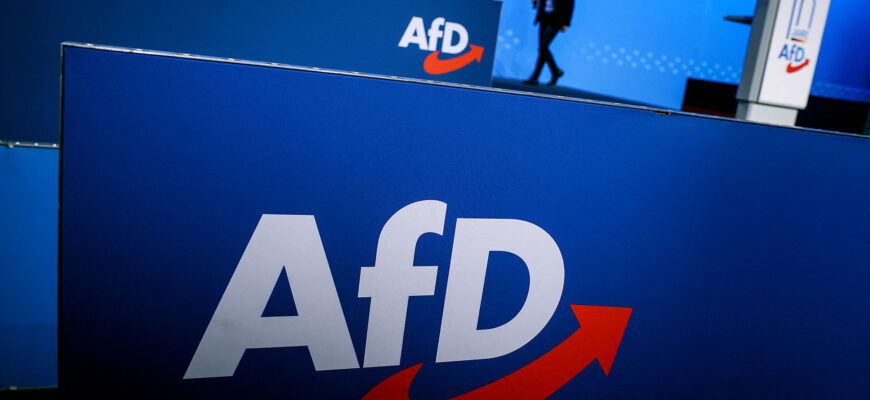 afd partid