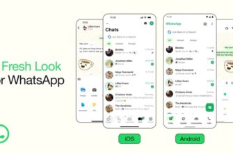 look pentru whatsapp