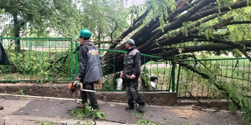 serviciile gospodaresti intervin