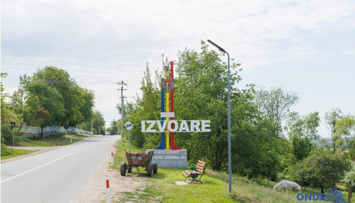 24004176 big1717494482