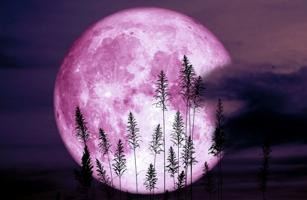 „Luna căpșunilor” sau „Luna roz” - fenomen astronomic extrem de rar. Când poate fi admirată 1 luna capsunilor
