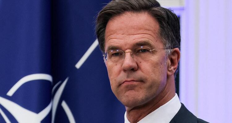 mark rutte