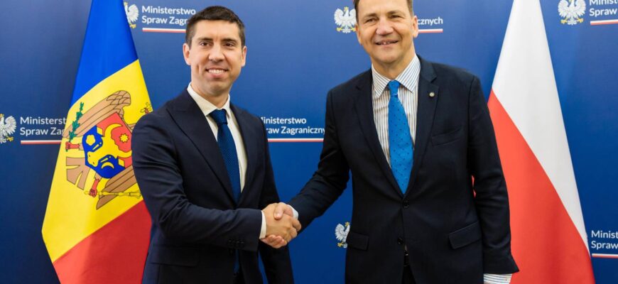 mihai popsoi intrevedere cu radoslaw sikorski