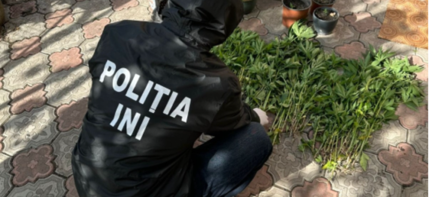 ofiterii politia antidrog