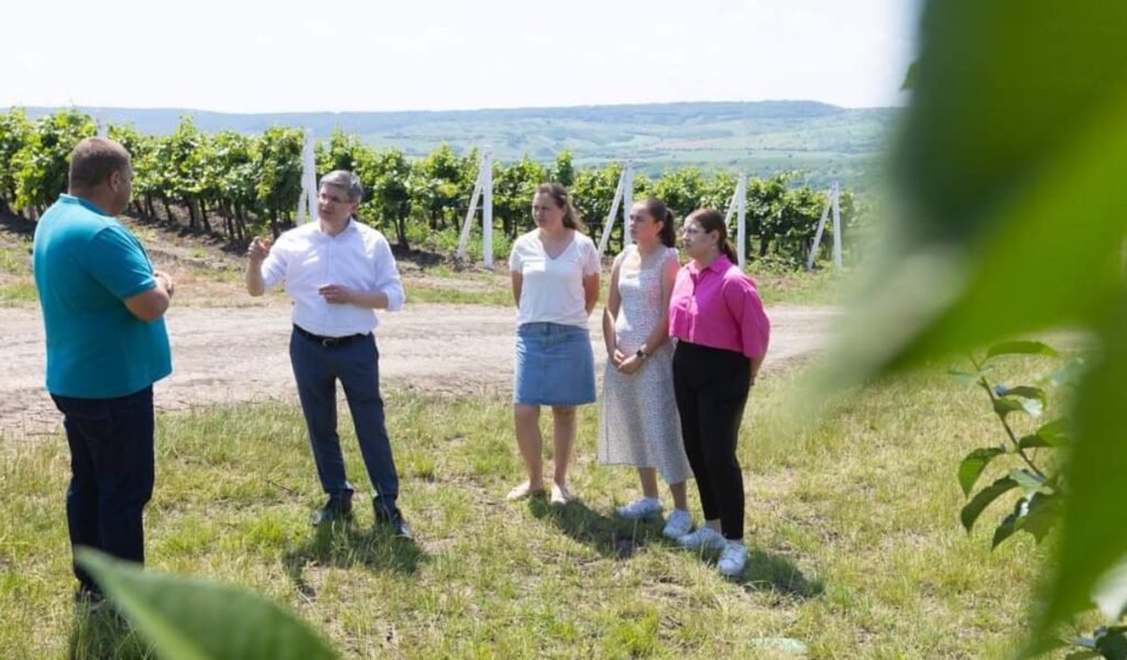 Realizările familiei Mariei și Ion Valac din satul Codreanca, Strășeni, au dus prunele noastre în Olanda, iar cireșele și caisele pe alte piețe europene 1 Realizările familiei Mariei și Ion Valac din satul Codreanca, Strășeni, au dus prunele noastre în Olanda, iar cireșele și caisele pe alte piețe europene