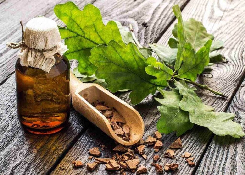 Remediile cu scoarță de stejar, utile în combaterea inflamației