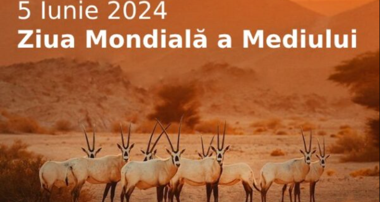 ziua mondiala a mediului