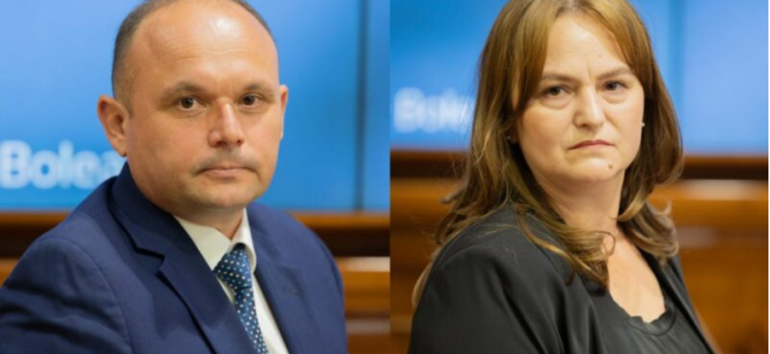 diana lapteacru si ionel sirghii