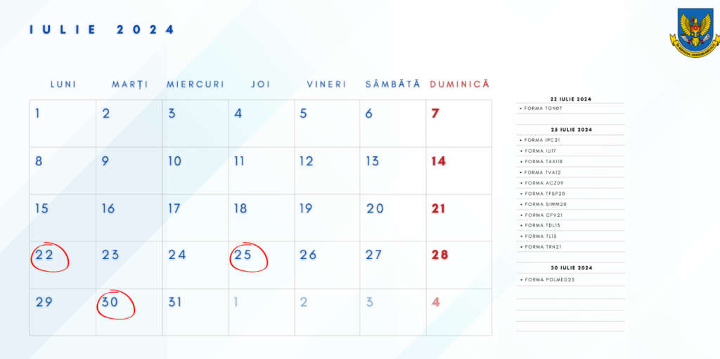 Calendarul fiscal al contribuabilului pentru luna iulie 2024 1 grafic pentru contribuabil