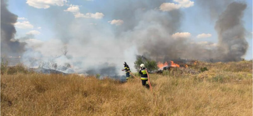 interventii lichidarea focare