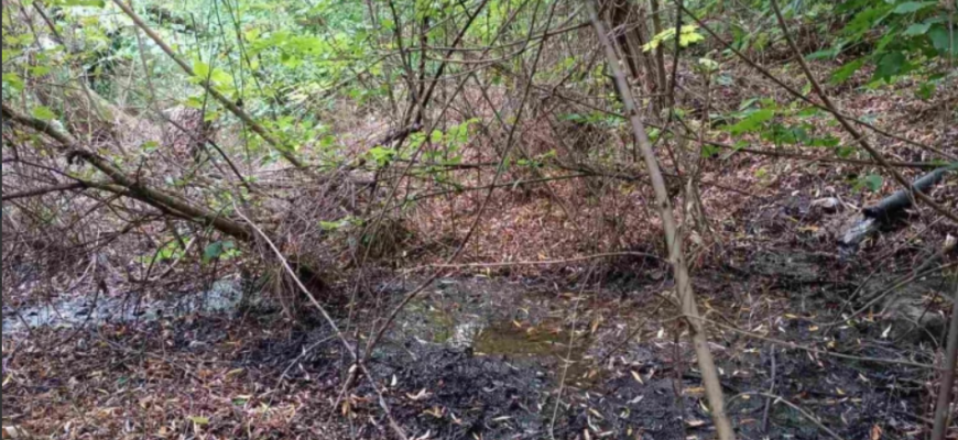 ape uzate direct in rau