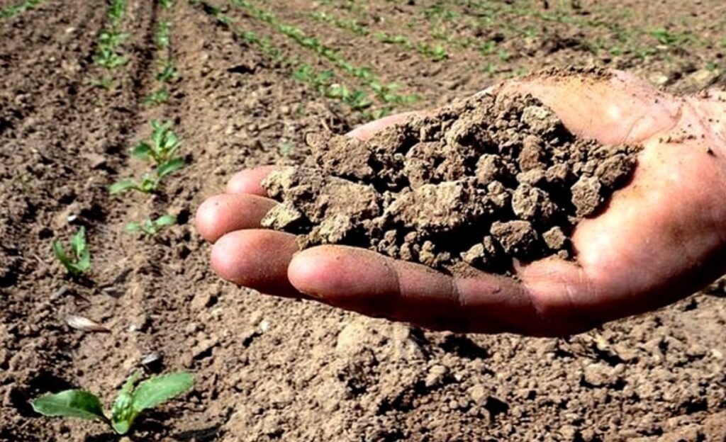 Ministerul Agriculturii va elabora noi instrumente financiare pentru a sprijini suplimentar fermierii 1 Ministerul Agriculturii va elabora noi instrumente financiare pentru a sprijini suplimentar fermierii