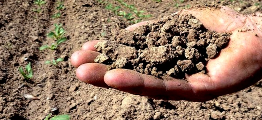 instrumente financiare pentru agricultori