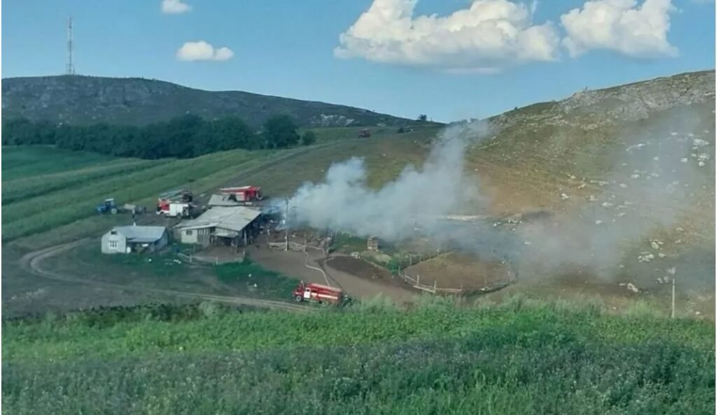 Peste 200 de oi au fost salvate din incendiul izbucnit la o stână din nordul țării