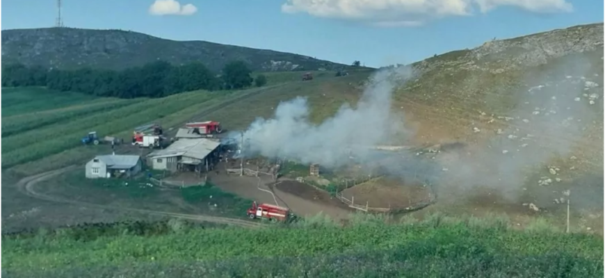 oi salvate din incendiu