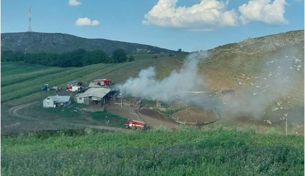 Peste 200 de oi au fost salvate din incendiul izbucnit la o stână din nordul țării