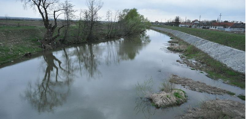 a dispus inventarierea