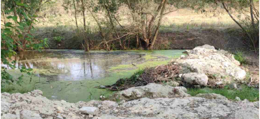 barare ilegala a raurilor