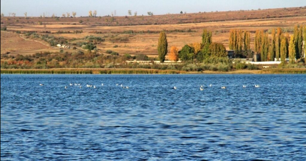 Lucrările de consolidare a barajului la bazinul de acumulare Ghidighici vor fi finalizate până la finele anului 1 Lucrările de consolidare a barajului la bazinul de acumulare Ghidighici vor fi finalizate până la finele anului