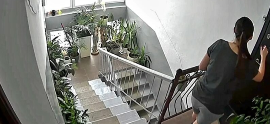 colectarea semnaturilor