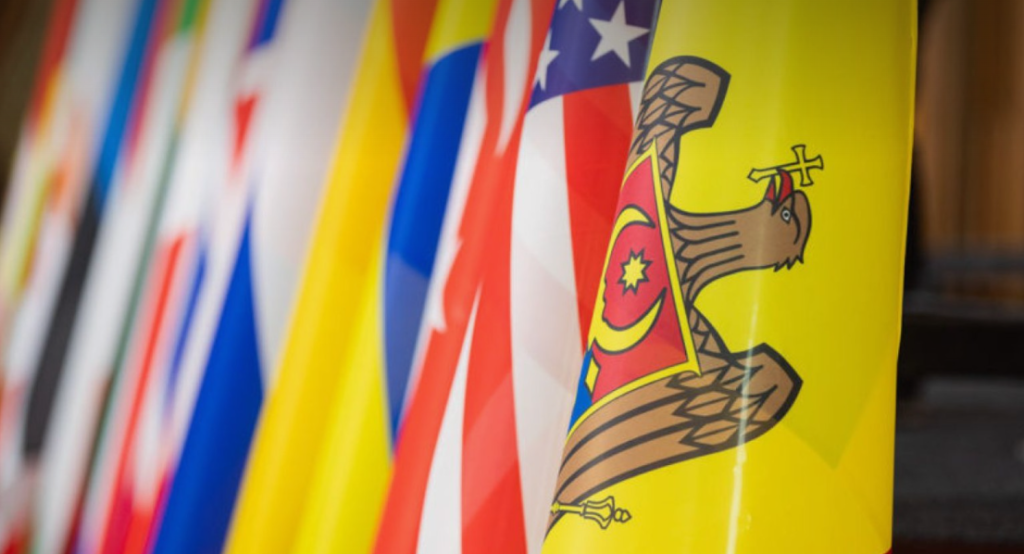 danemarca ofera suport financiar