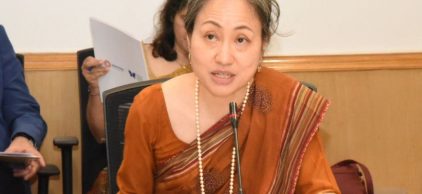 directoarea biroului de criza al pnud