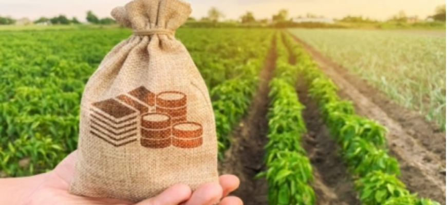 granturi post investitionale