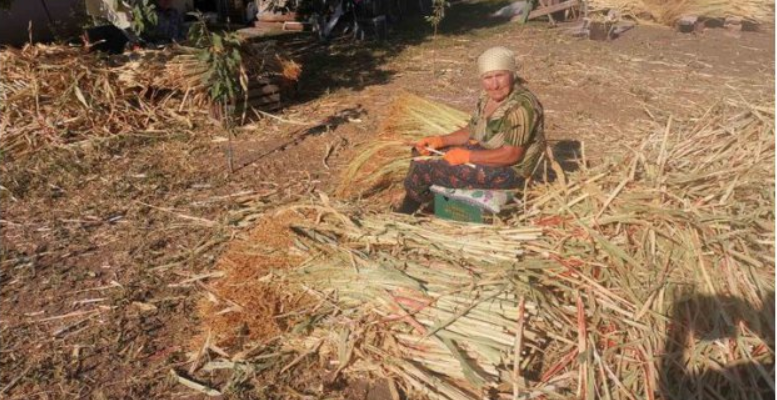 incendierea deseurilor