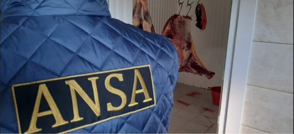 Inspectorii ANSA au depistat mai multe încălcări în structurile de sacrificare şi producere a cărnii, periculoase pentru consumatori