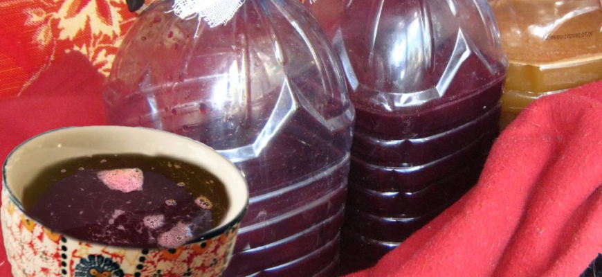 intoxicatii in timpul fermentarii vinului