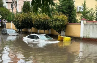 pagubele ploilor torentiale