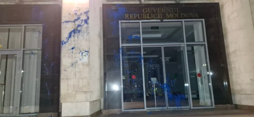 photo 5456356406396579403 y