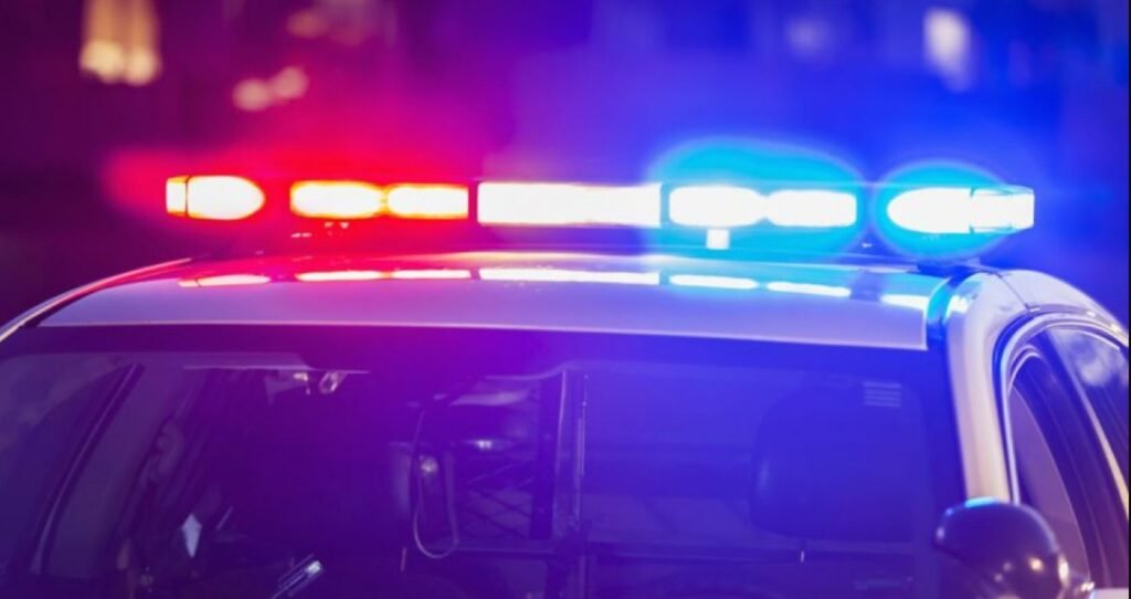 Polițiștii sectorului Botanica au reținut o minoră de 17 de ani, suspectată de omorul unui bărbat din capitală
