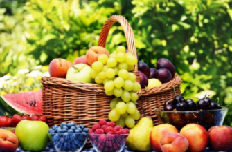 producatori de fructe